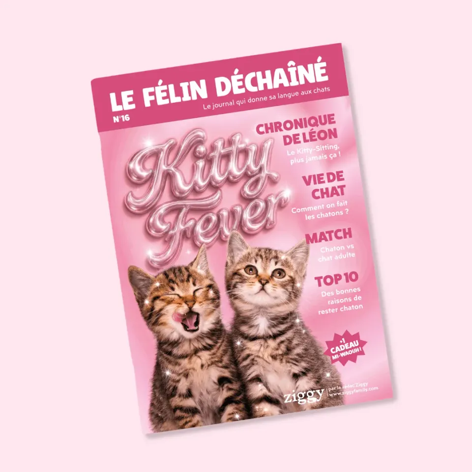 Ziggy Félin Déchaîné Issue 16 kattentijdschrift Frans