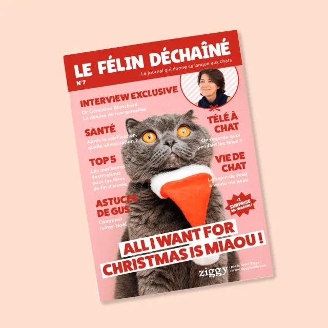 Ziggy Félin Déchaîné kattenmagazine editie 7 Frans