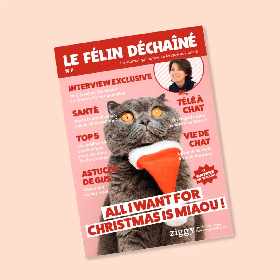 Ziggy Félin Déchaîné kattenmagazine editie 7 Frans