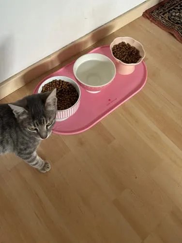 Ziggy Cool Cat Club voermat kat roze klein siliconen antislip