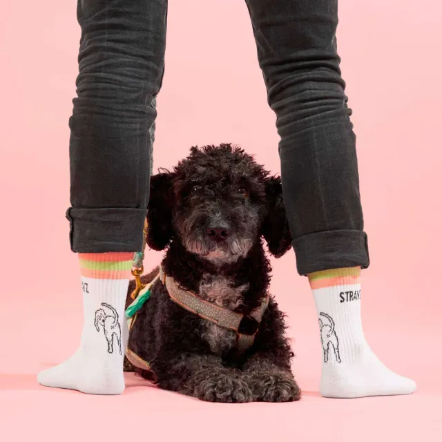 STRAYZ Doggo tennissokken M 39-42 met donatie