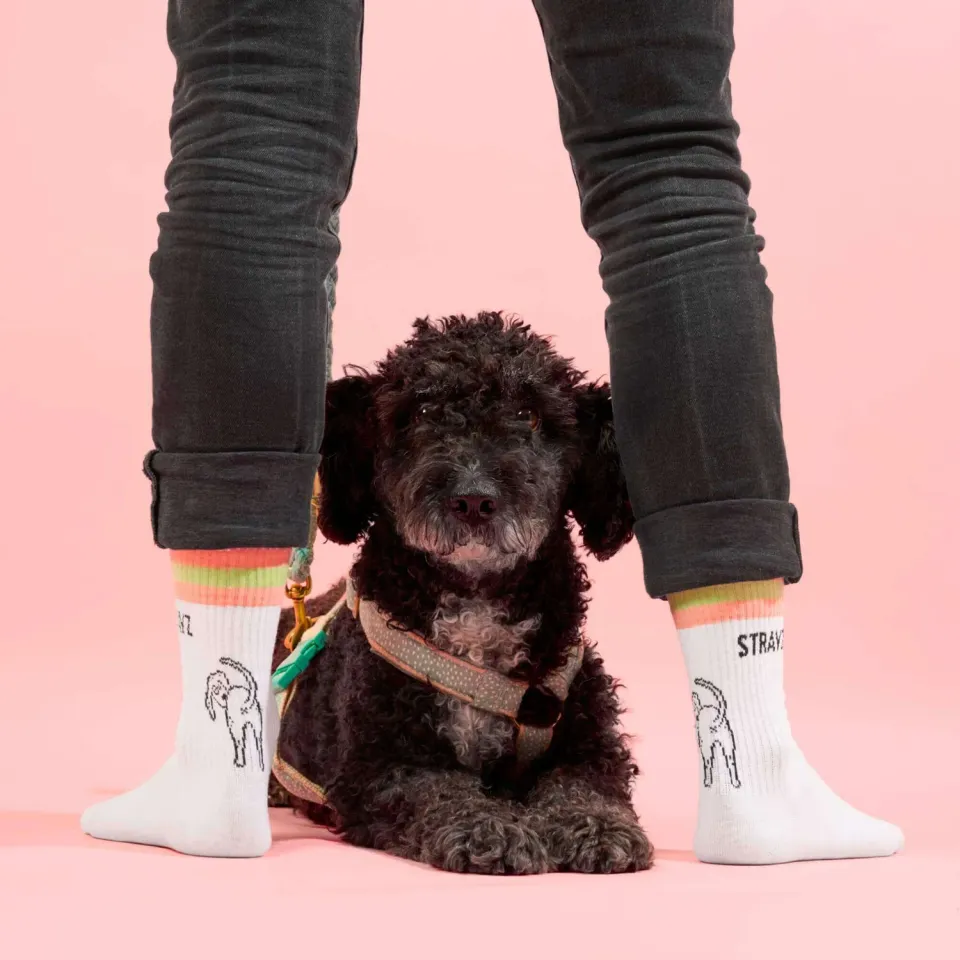 STRAYZ Doggo tennissokken M 39-42 met donatie