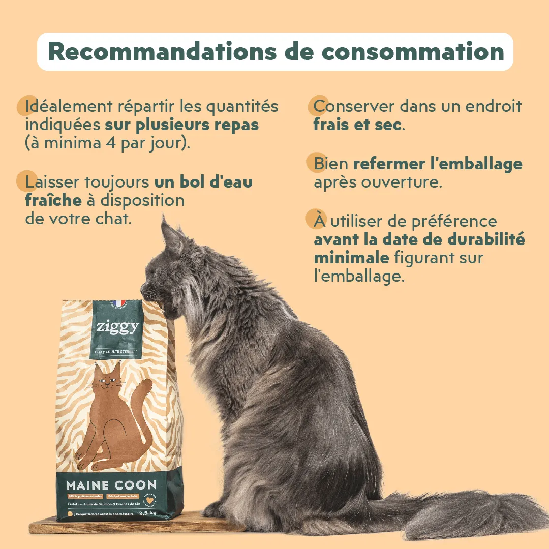 Ziggy Maine Coon gesteriliseerd brokken kip 2,5 kg graanvrij