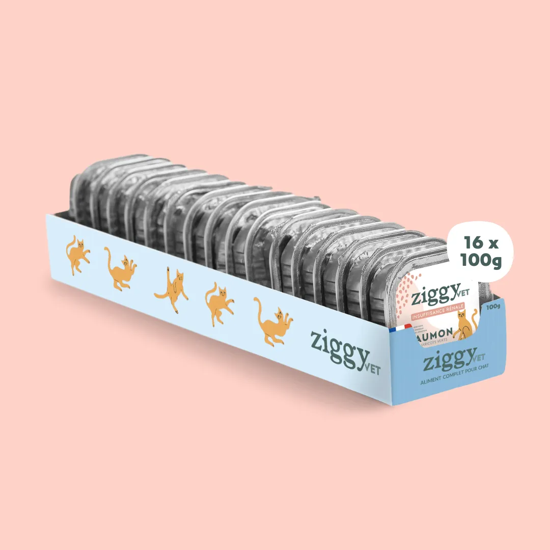 Ziggy VET CKD natvoer zalm 16 x 100 g nierdieet