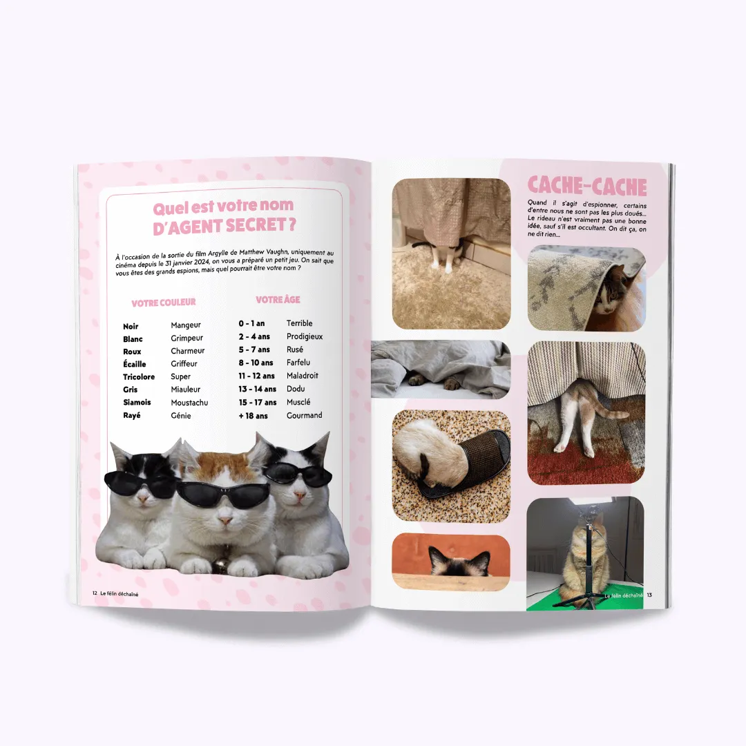Ziggy Le Félin Déchaîné kattenmagazine nummer 3 Frans
