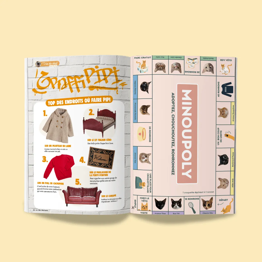 Ziggy Félin Déchaîné tijdschrift issue 8 Frans