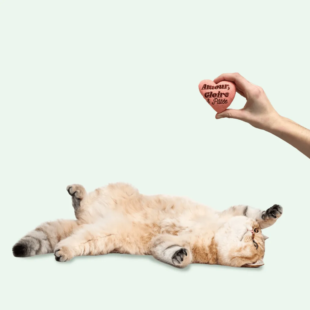 Ziggy Hart kattenspeeltje catnip katoen
