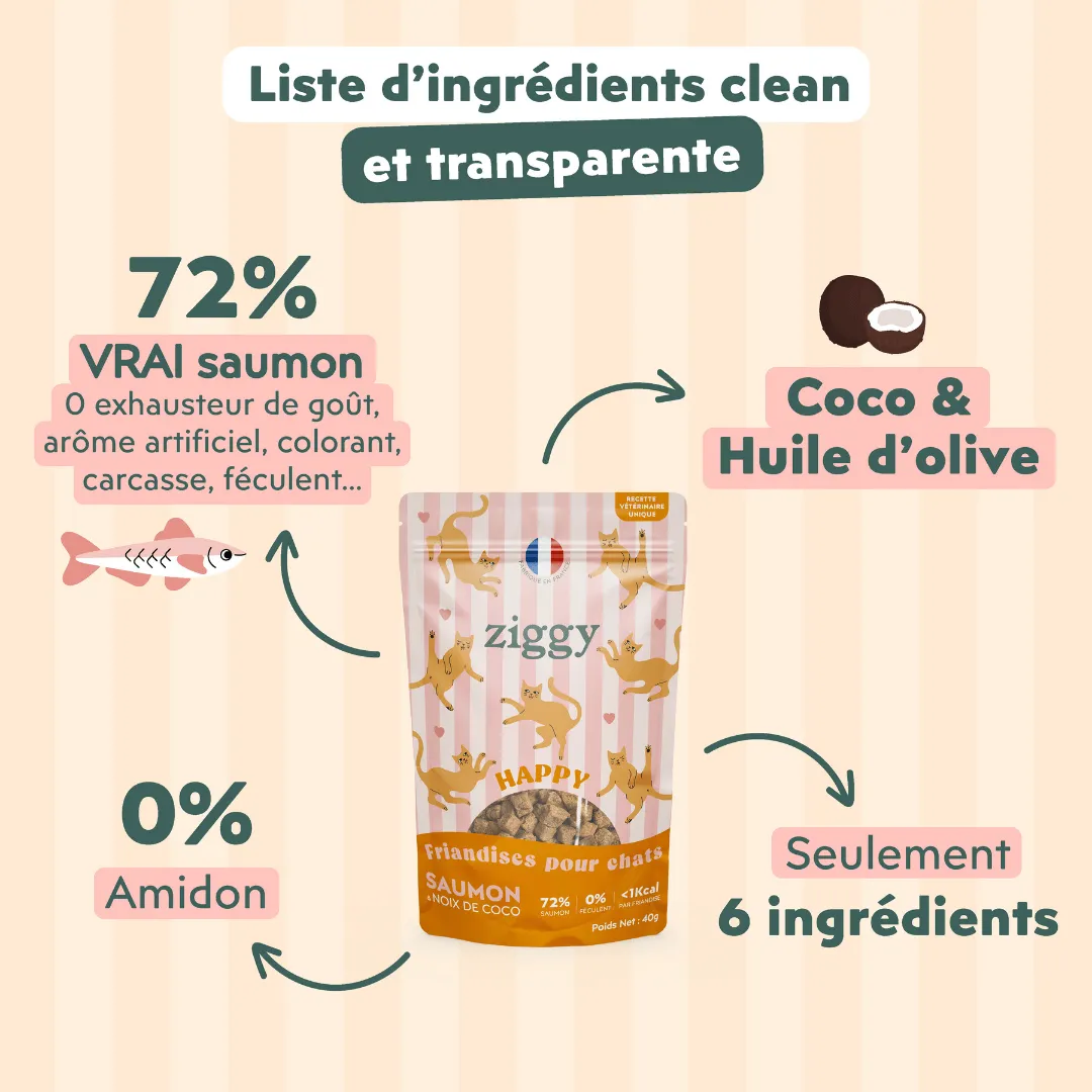 Ziggy Happy Cat Treats kattensnoepjes met zalm 40g graanvrij