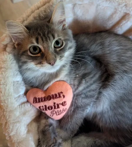 Ziggy Hart kattenspeeltje catnip katoen