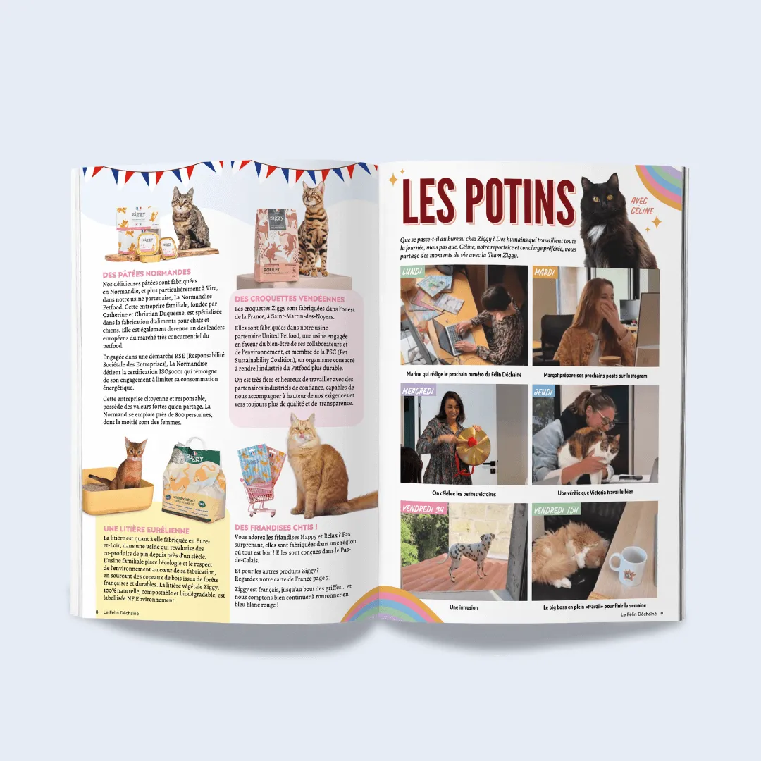 Ziggy Félin Déchaîné tijdschrift editie nr. 12 Frans