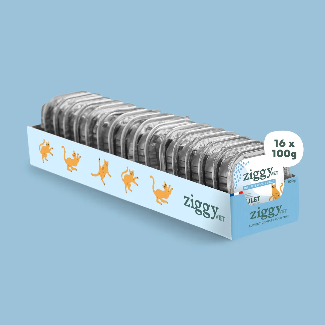 Ziggy Vet CKD natvoer kip 4x100g nierdieet