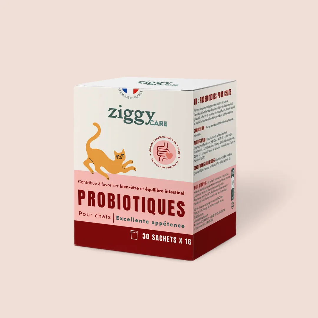 Ziggy Care probiotica kat 3 zakjes darmflora