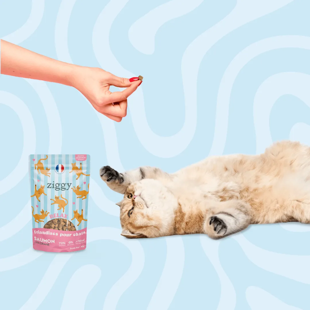 Ziggy Relax kattensnoepjes zalm valeriaan 40g graanvrij