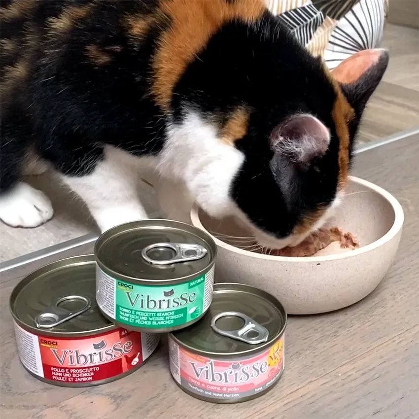 Vibrisse Natural kip natvoer kat 70g gestoomd