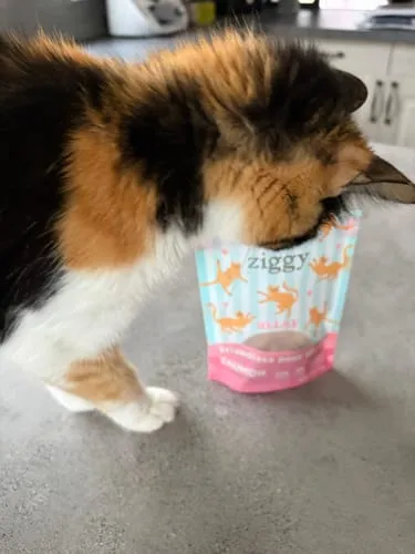 Ziggy Relax kattensnoepjes zalm valeriaan 40g graanvrij