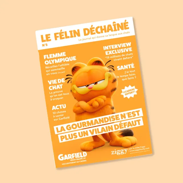 Ziggy Félin Déchaîné kattenmagazine editie 5 Frans