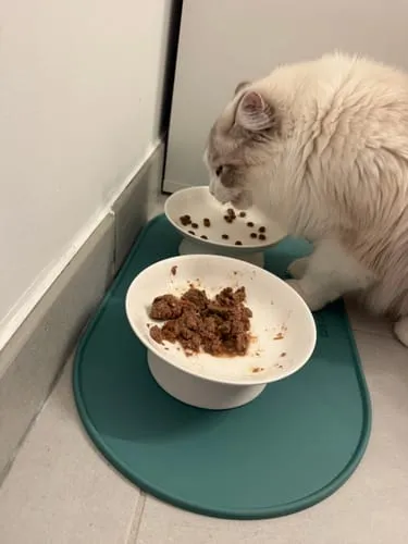 Ziggy Cool Cat Club voermat kat roze klein siliconen antislip