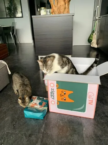 Ziggy graanvrij natvoer gesteriliseerde kat zalm 4x100g