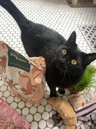 Ziggy Sterilised Adult brokken kip 2,5 kg graanvrij