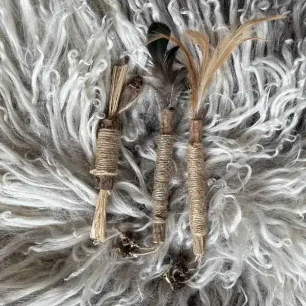 Poezenparadijs Silvervine Dental Sticks Kauwsticks 3 stuks sisal