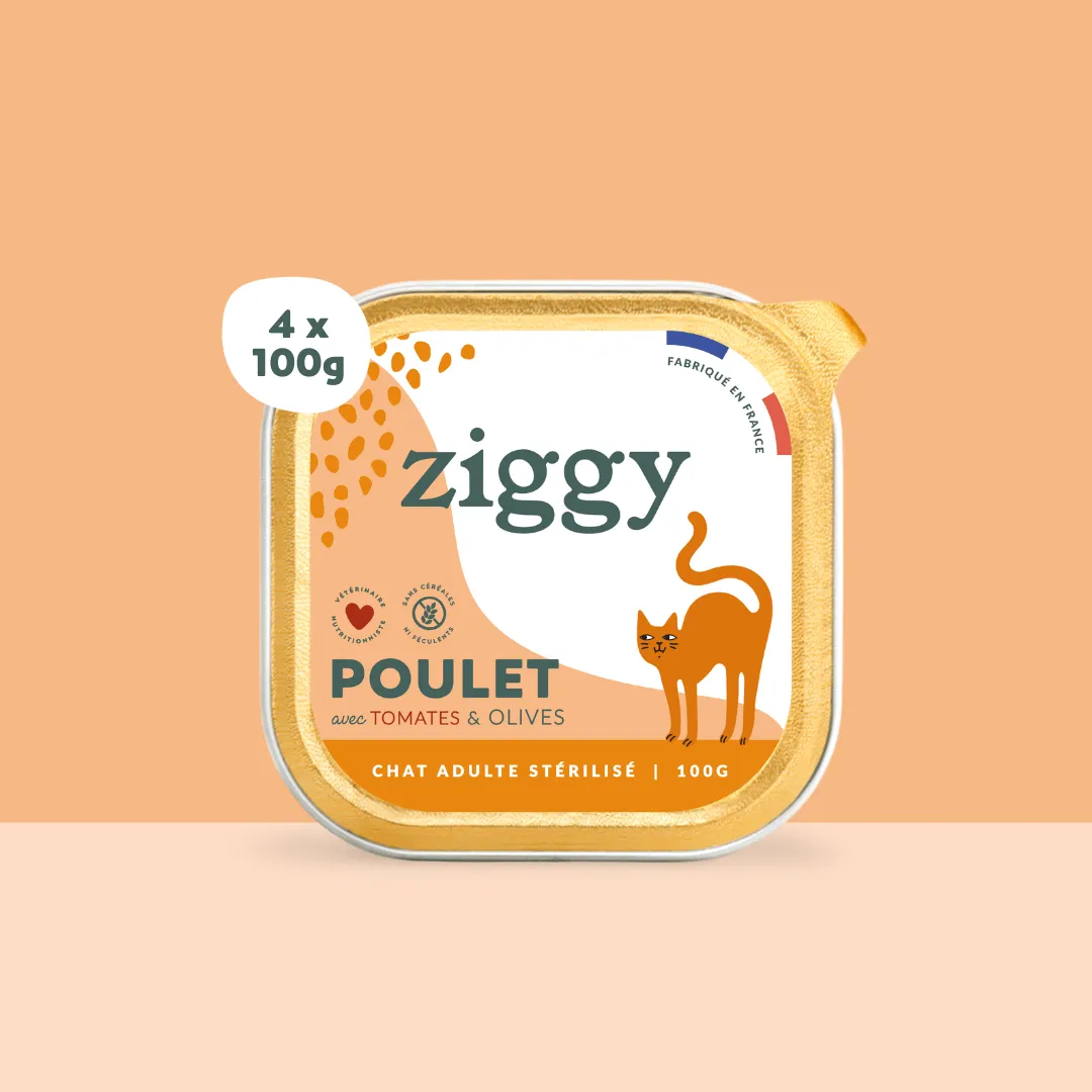 Ziggy natvoer kat kip tomaat olijven 4x100g