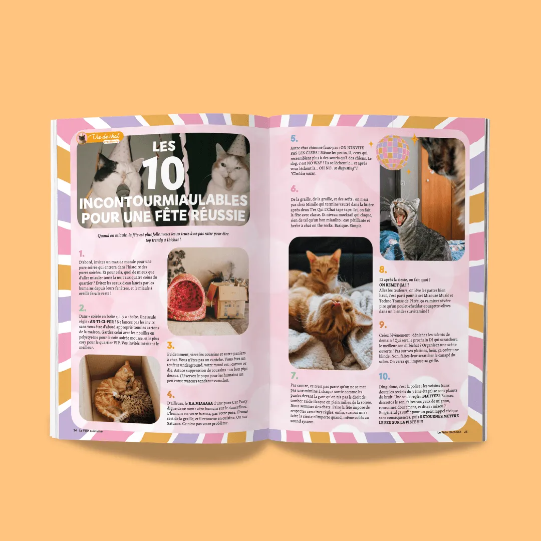Ziggy Le Félin Déchaîné tijdschrift nummer 17 Frans