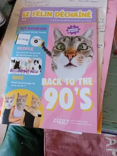 Ziggy Félin Déchaîné tijdschrift issue 8 Frans