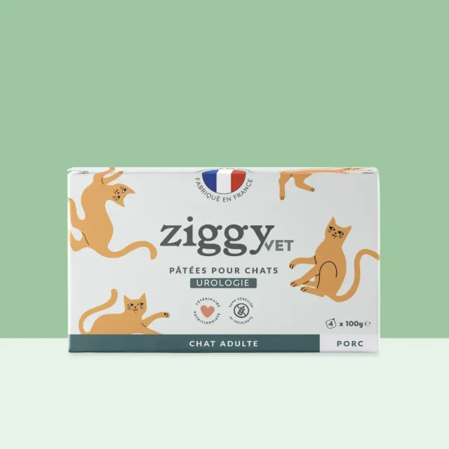 Ziggy VET Urinary natvoer kat 4x100g blaas
