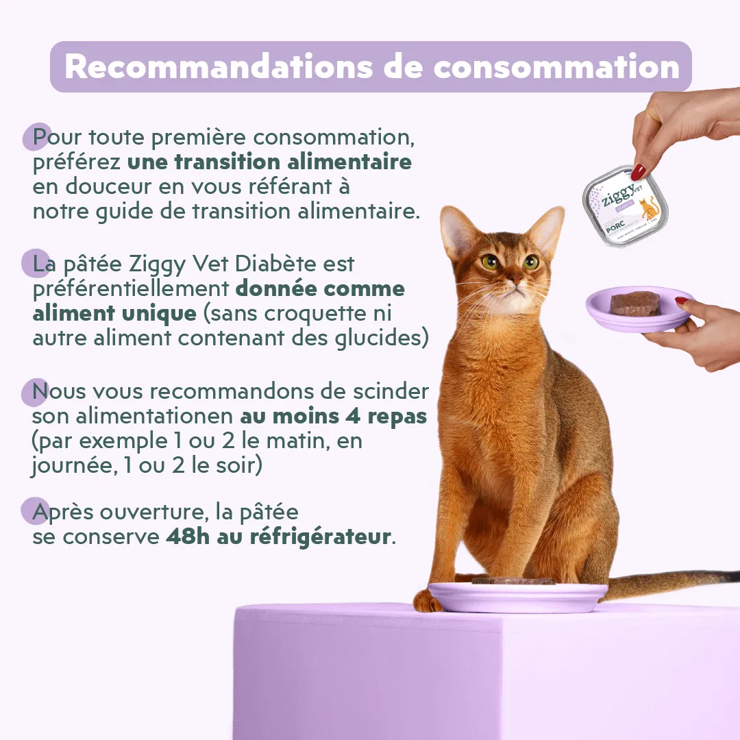 Ziggy VET natvoer kat diabetes varken 4 x 100 g