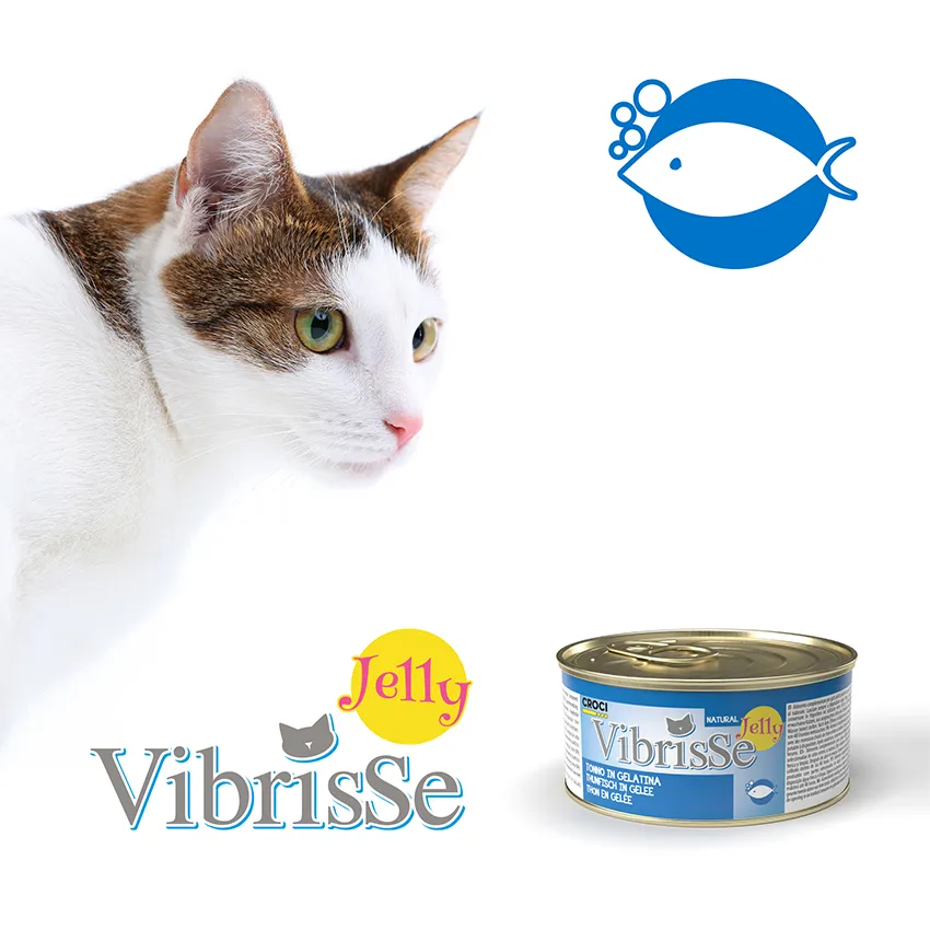 Vibrisse Jelly kip natvoer kat 70g blik gelei