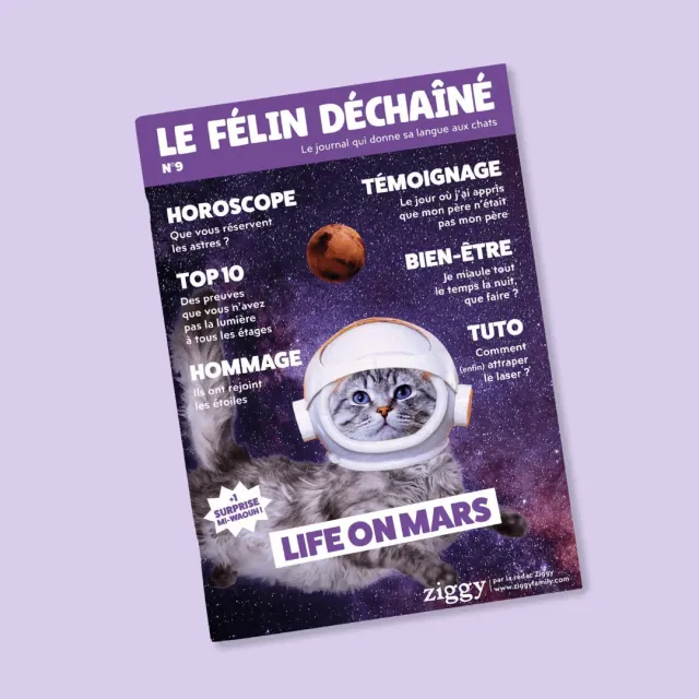 Ziggy Félin Déchaîné Editie 9 kattenmagazine Frans