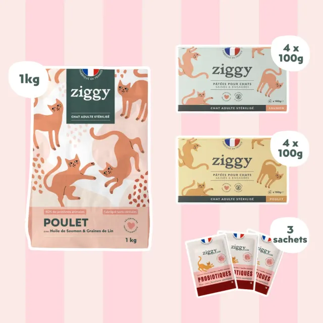 Ziggy Discovery Box kat kip brokken natvoer 1 kg + 8 x 100 g