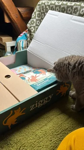 Ziggy kitten natvoer rund graanvrij 4x100g eiwitrijk