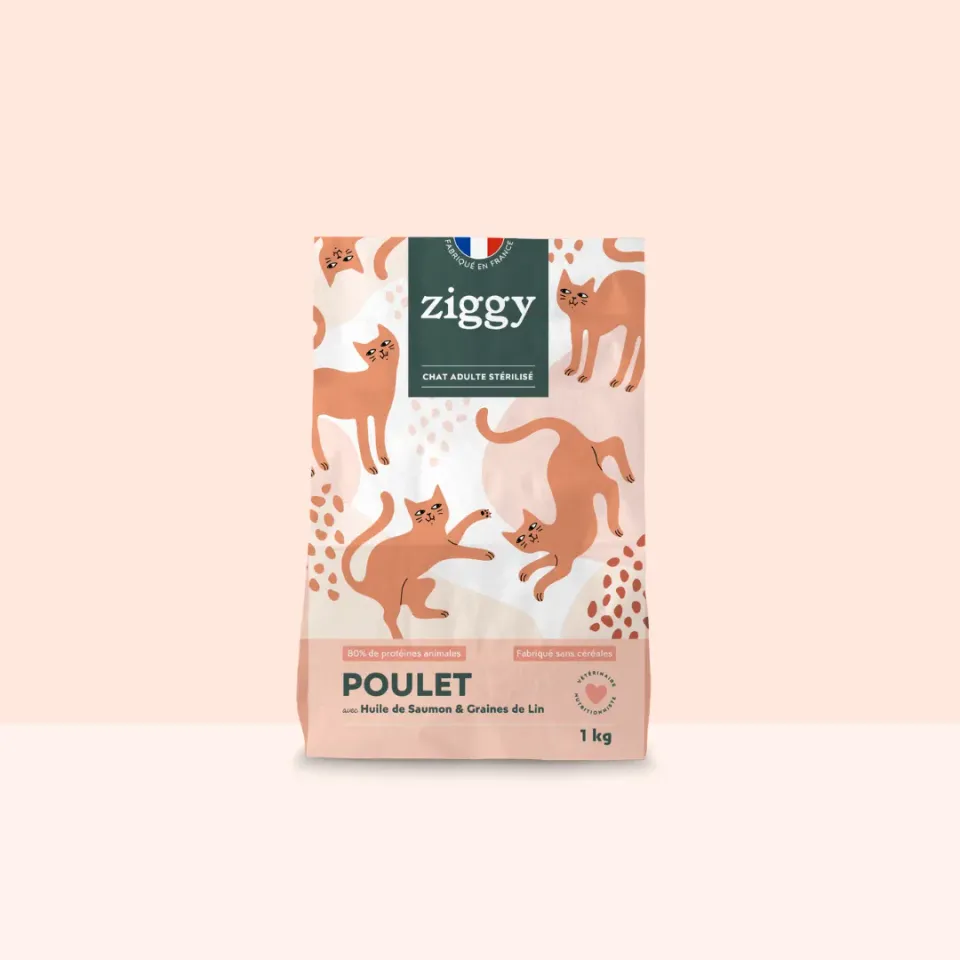 Ziggy droogvoer kat kip 1 kg graanvrij