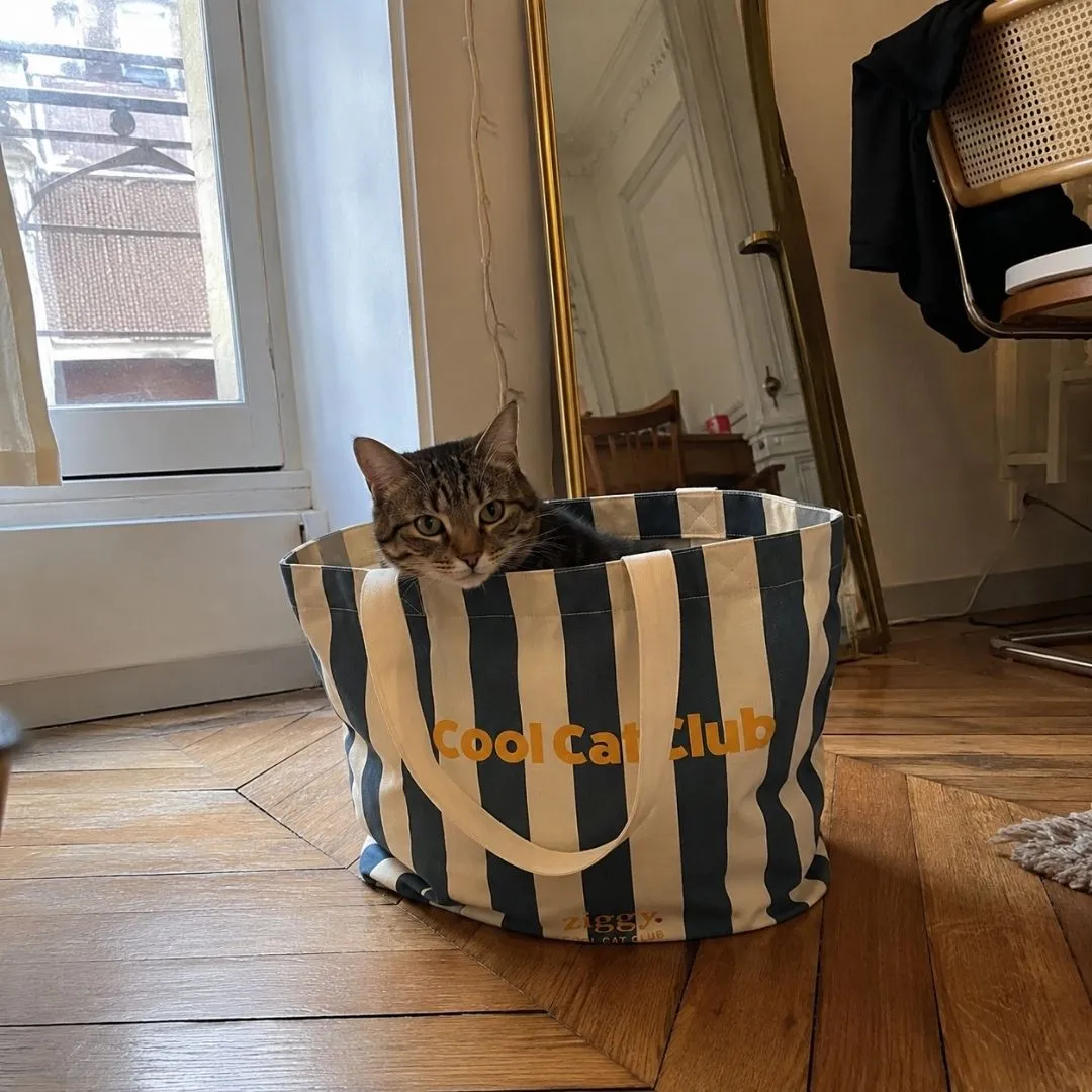 Ziggy gestreepte totebag oranje kattenfan