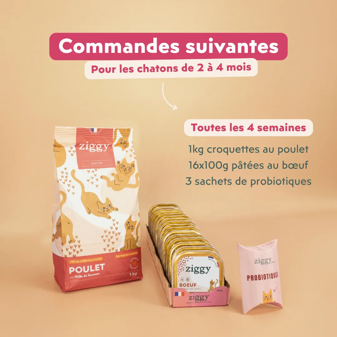 Ziggy Kitten Starter Kit startpakket 2-4 maanden