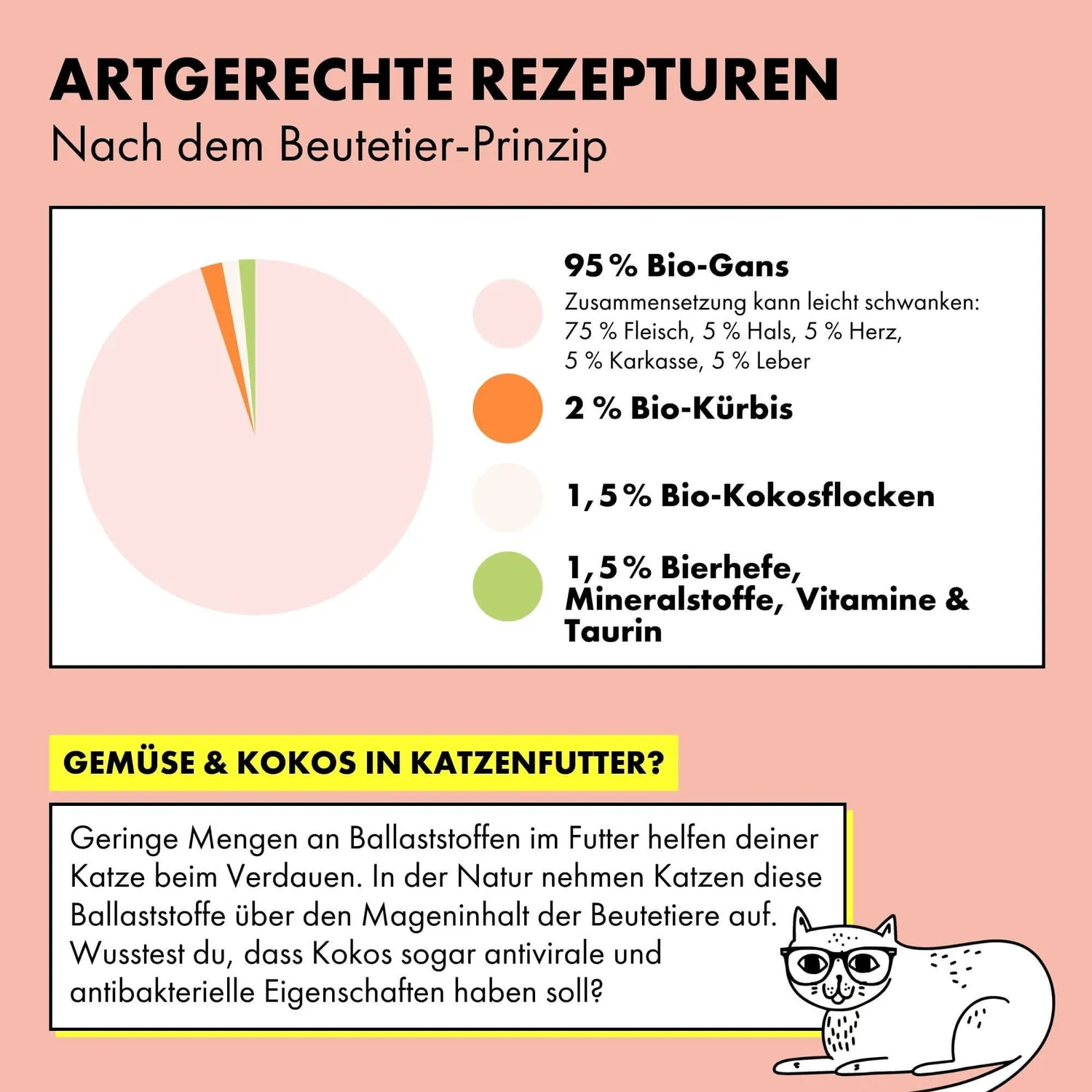 STRAYZ Gans & Pompoen kattenvoer 85g bio