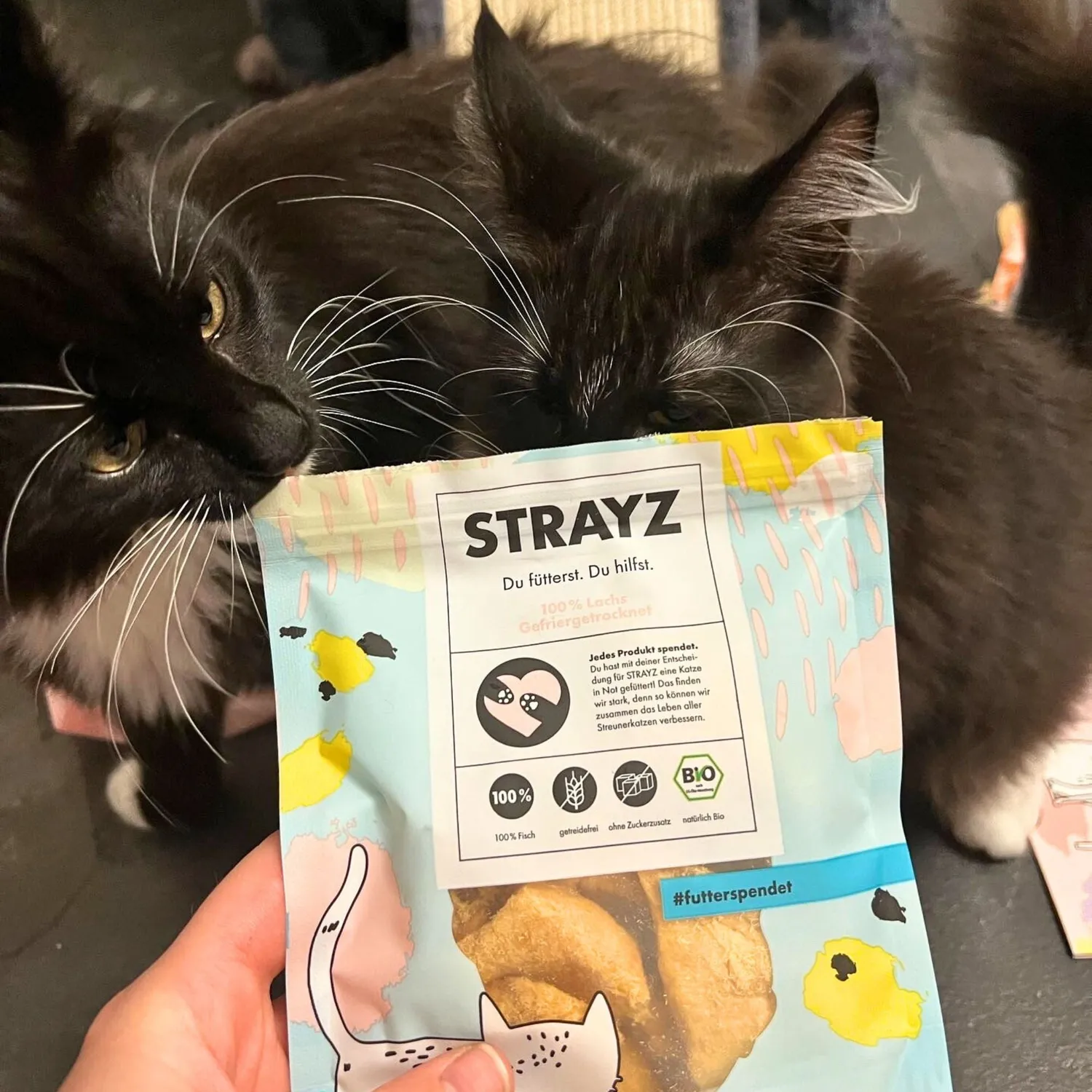 STRAYZ 100% Bio-Zalm snack hond en kat gevriesdroogd