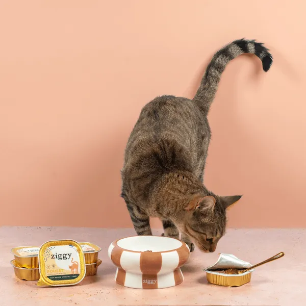Ziggy Amour Gloire Pâtée voerlepel natvoer rvs