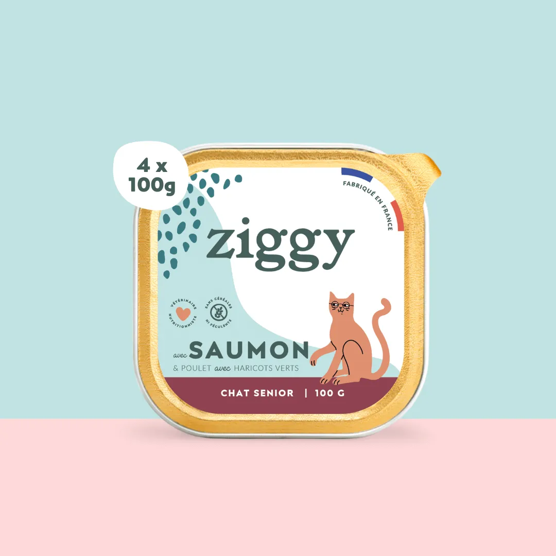 Ziggy senior natvoer kat zalm 4 x 100 g