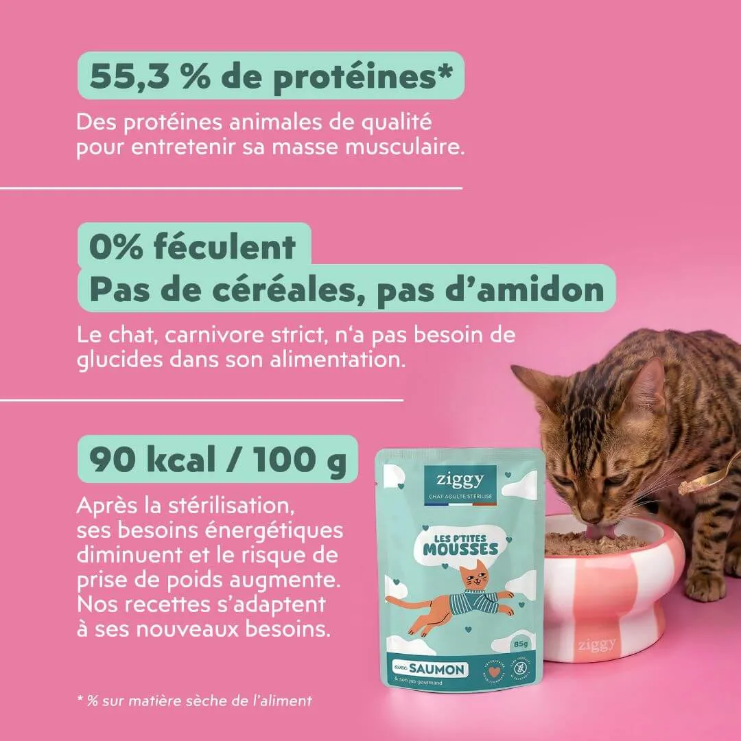 Ziggy Sterilized Mousse kattenvoer zalm 12x85g graanvrij