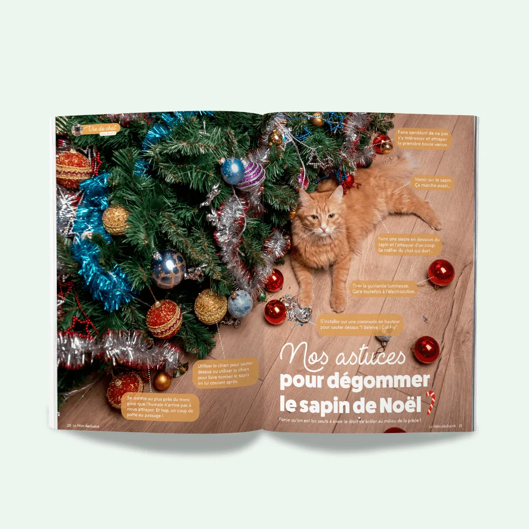 Ziggy Félin Déchaîné Issue 2 kattenmagazine Frans