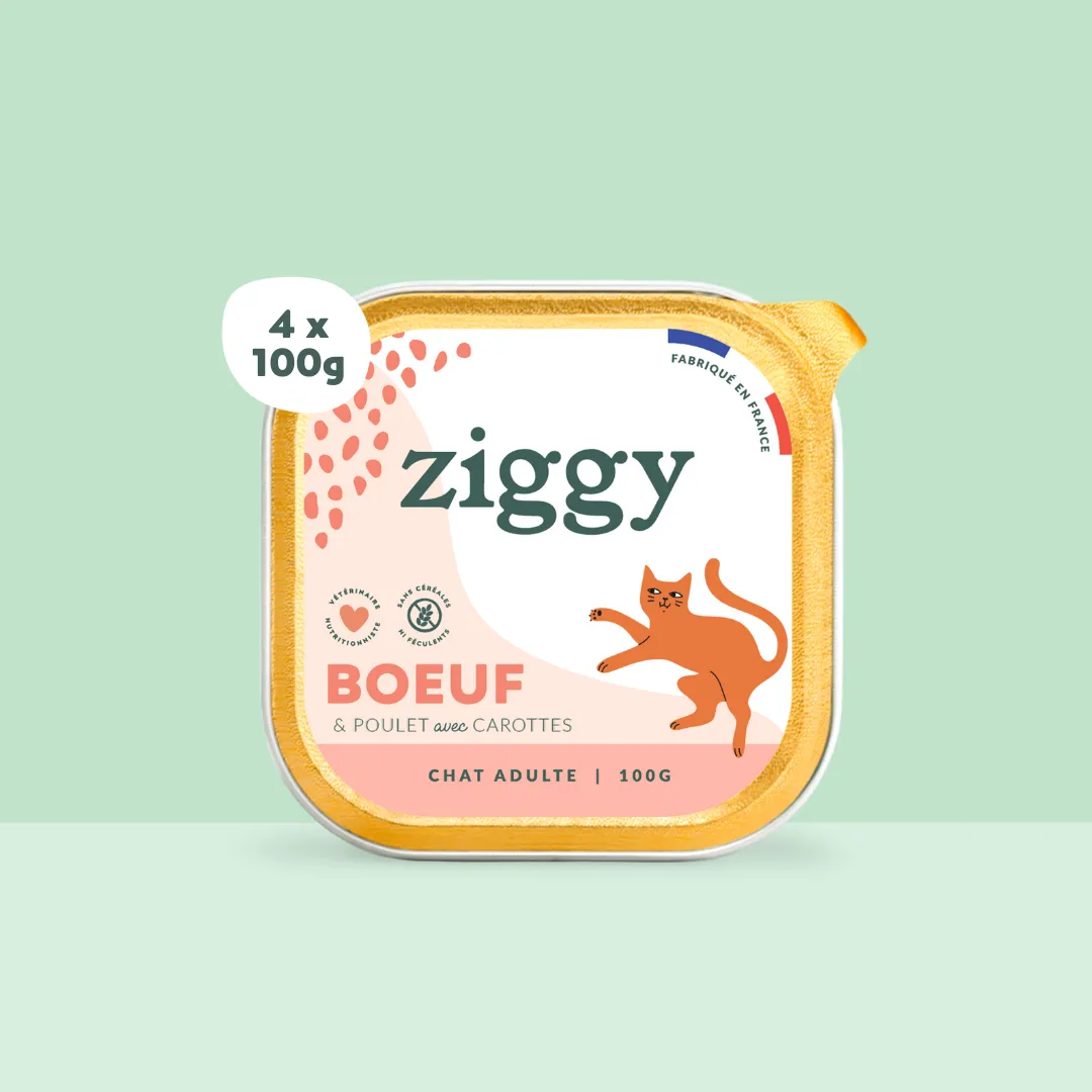 Ziggy natvoer rund 4x100g zetmeelvrij