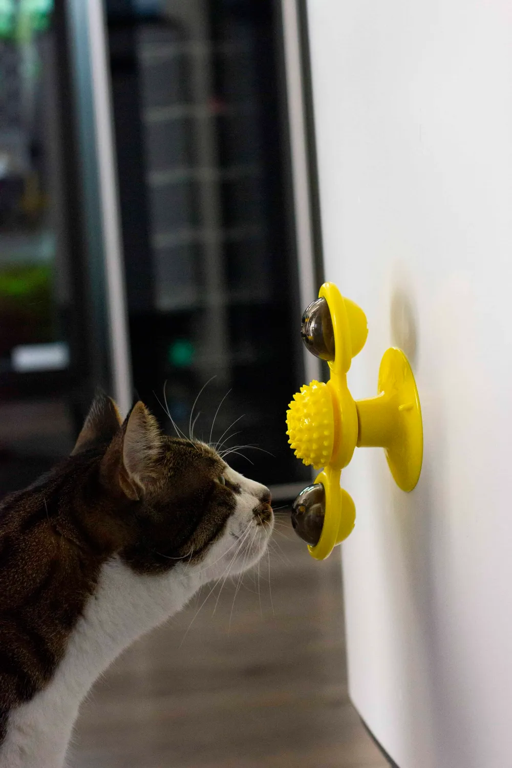 Poezenparadijs Windmolen kattenspeeltje TPR met kattenkruid
