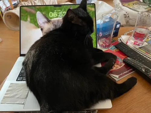 Ziggy Le Félin Déchaîné tijdschrift nummer 17 Frans