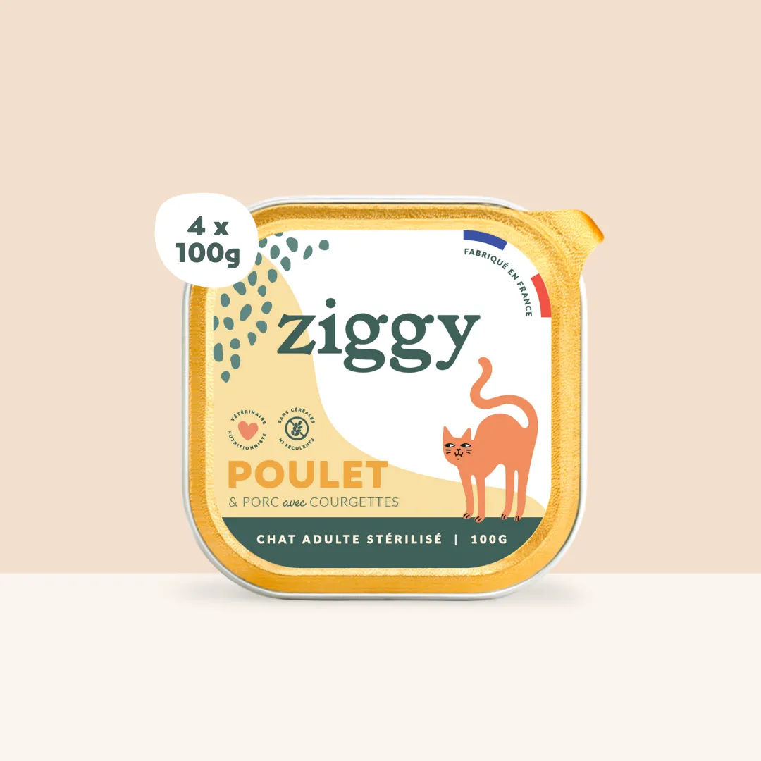 Ziggy Natvoer kat kip 4x100g compleet