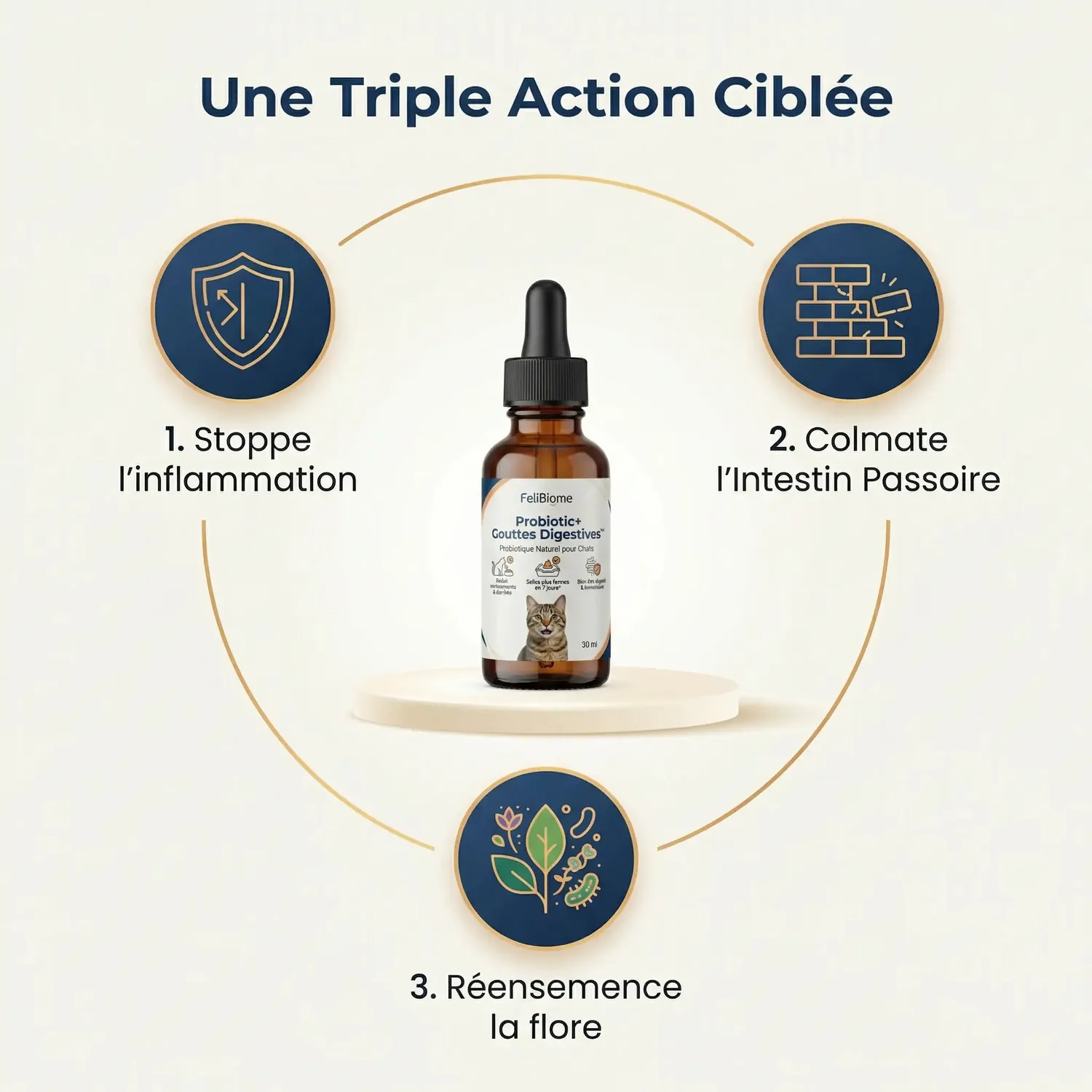 Felibiome Probiotic+ druppels spijsvertering kat