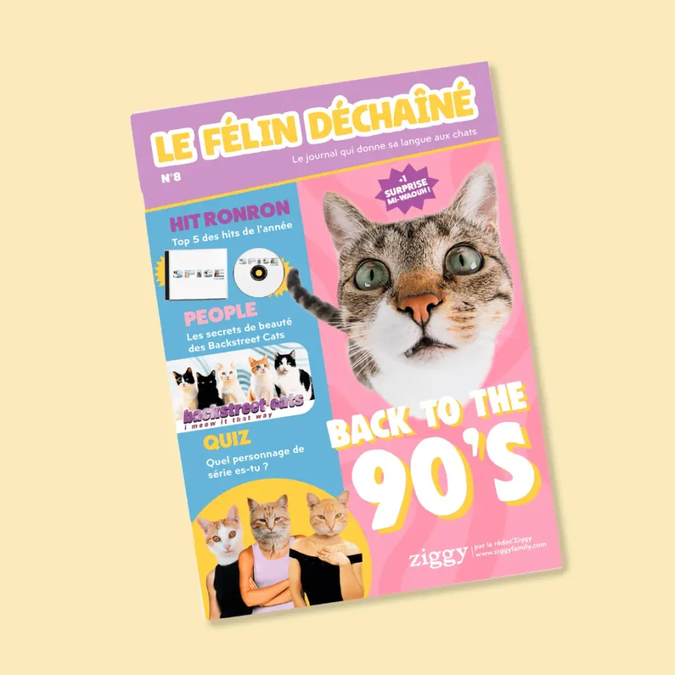Ziggy Félin Déchaîné tijdschrift issue 8 Frans