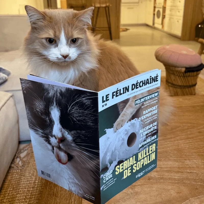 Ziggy Le Félin Déchaîné tijdschrift editie nr 15