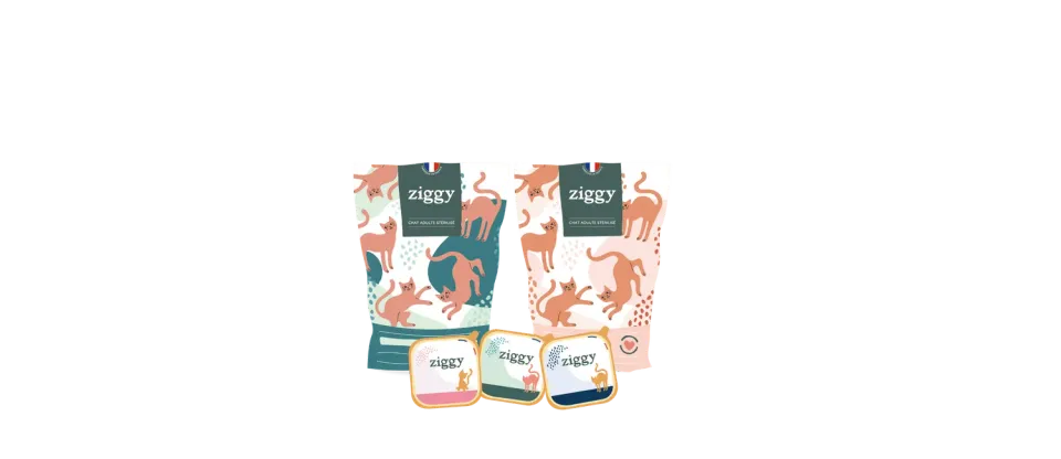 Ziggy kattenvoer met zalm en witte vis graanvrij voordeel